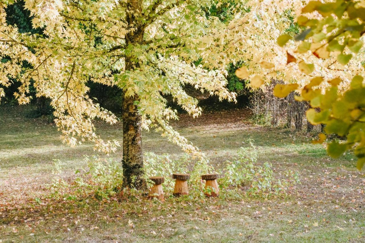 Maison Cistus - Maison D'Hotes De Charme - Suites Et Gite Avec Terrasses Privees - Proche De Sarlat, Au Coeur De La Nature ภายนอก รูปภาพ