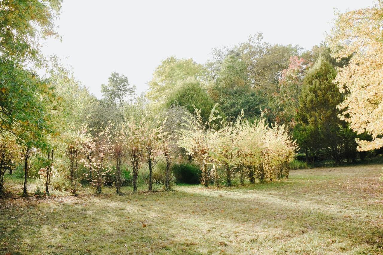 Maison Cistus - Maison D'Hotes De Charme - Suites Et Gite Avec Terrasses Privees - Proche De Sarlat, Au Coeur De La Nature ภายนอก รูปภาพ